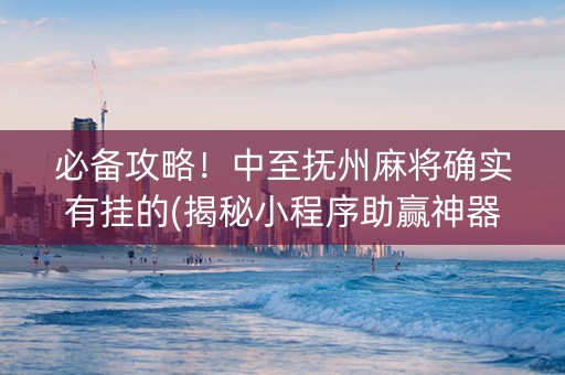 必备攻略！中至抚州麻将确实有挂的(揭秘小程序助赢神器购买)