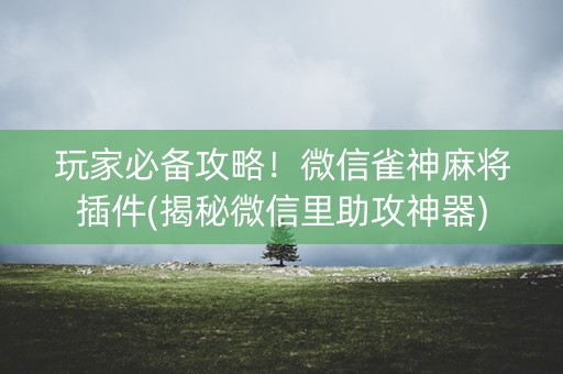 玩家必备攻略！微信雀神麻将插件(揭秘微信里助攻神器)