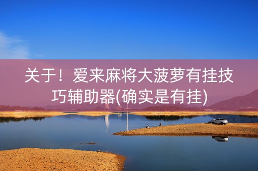 关于！爱来麻将大菠萝有挂技巧辅助器(确实是有挂)