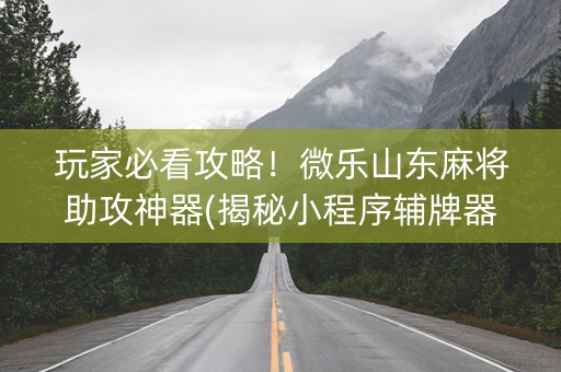玩家必看攻略！微乐山东麻将助攻神器(揭秘小程序辅牌器)