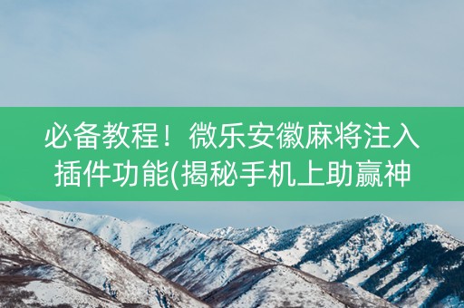 必备教程！微乐安徽麻将注入插件功能(揭秘手机上助赢神器)