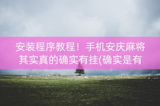安装程序教程！手机安庆麻将其实真的确实有挂(确实是有挂)