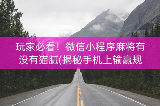 玩家必看！微信小程序麻将有没有猫腻(揭秘手机上输赢规律)