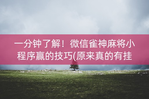 一分钟了解！微信雀神麻将小程序赢的技巧(原来真的有挂呢)