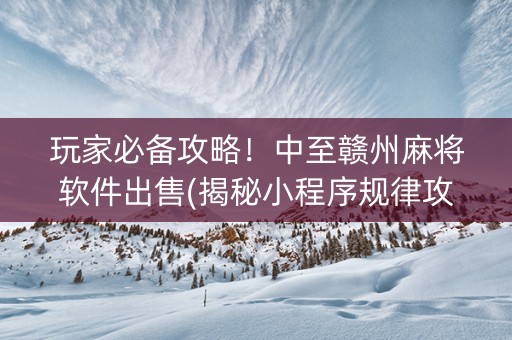 玩家必备攻略！中至赣州麻将软件出售(揭秘小程序规律攻略)