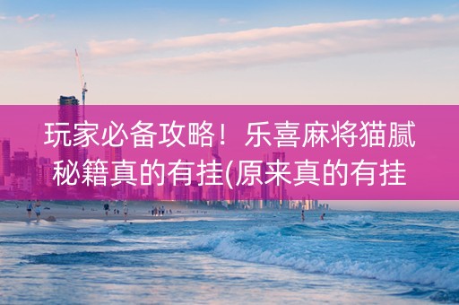 玩家必备攻略！乐喜麻将猫腻秘籍真的有挂(原来真的有挂)