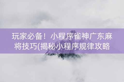 玩家必备！小程序雀神广东麻将技巧(揭秘小程序规律攻略)
