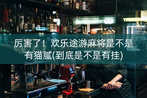 厉害了！欢乐途游麻将是不是有猫腻(到底是不是有挂)