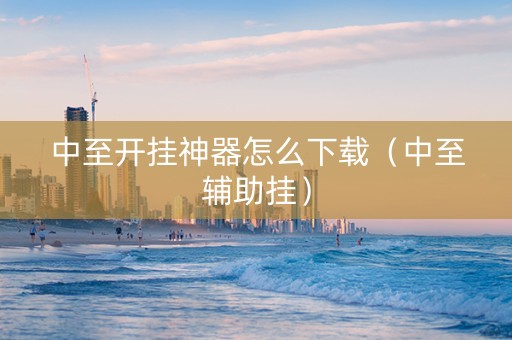 中至开挂神器怎么下载（中至辅助挂）