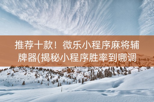 推荐十款！微乐小程序麻将辅牌器(揭秘小程序胜率到哪调)