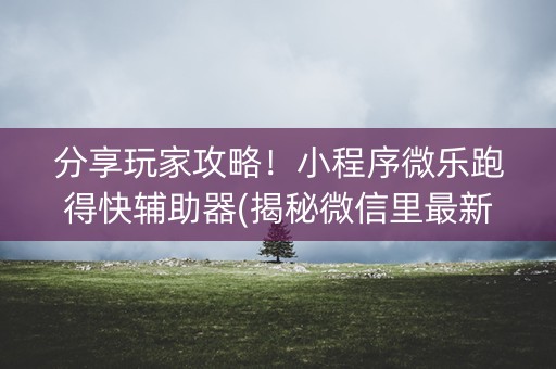 分享玩家攻略！小程序微乐跑得快辅助器(揭秘微信里最新神器下载)