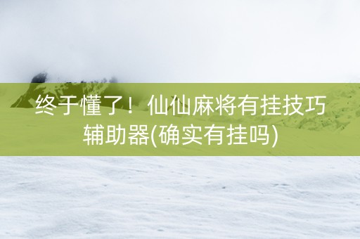 终于懂了！仙仙麻将有挂技巧辅助器(确实有挂吗)