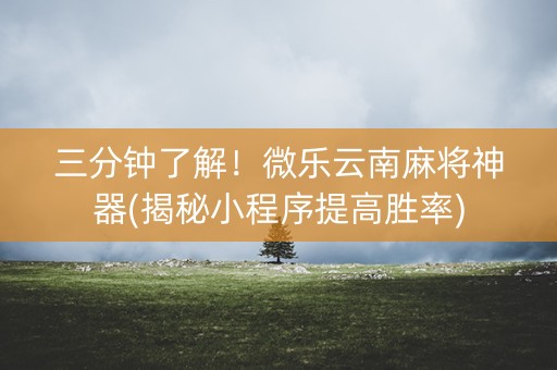 三分钟了解！微乐云南麻将神器(揭秘小程序提高胜率)