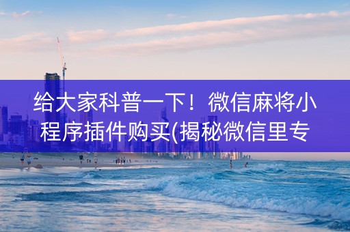 给大家科普一下！微信麻将小程序插件购买(揭秘微信里专用神器)