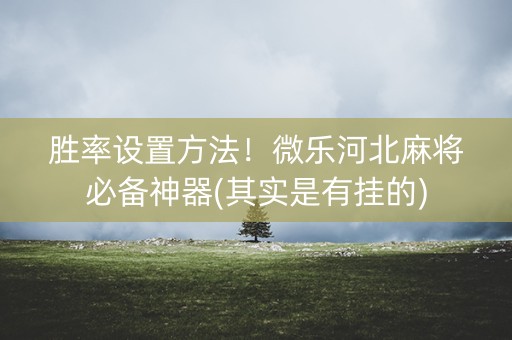 胜率设置方法！微乐河北麻将必备神器(其实是有挂的)
