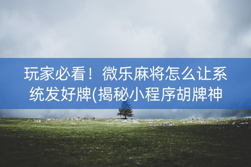 玩家必看！微乐麻将怎么让系统发好牌(揭秘小程序胡牌神器)