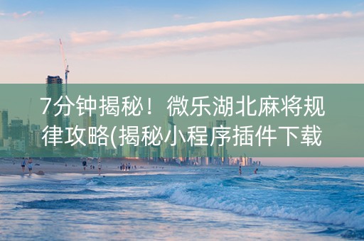 7分钟揭秘！微乐湖北麻将规律攻略(揭秘小程序插件下载)