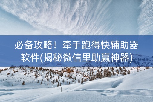 必备攻略！牵手跑得快辅助器软件(揭秘微信里助赢神器)