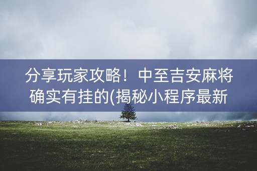 分享玩家攻略！中至吉安麻将确实有挂的(揭秘小程序最新神器下载)