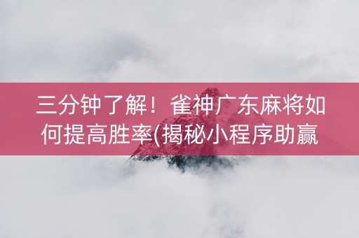 三分钟了解！雀神广东麻将如何提高胜率(揭秘小程序助赢神器购买)