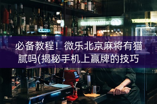 必备教程！微乐北京麻将有猫腻吗(揭秘手机上赢牌的技巧)