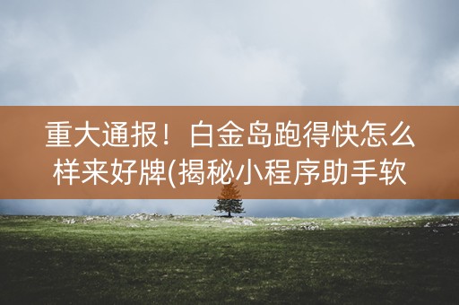 重大通报！白金岛跑得快怎么样来好牌(揭秘小程序助手软件)