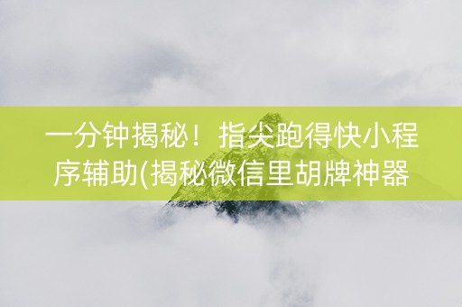 一分钟揭秘！指尖跑得快小程序辅助(揭秘微信里胡牌神器)