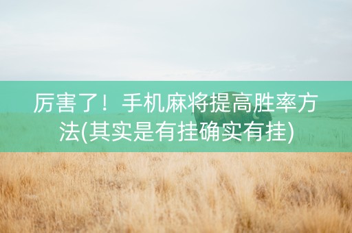 厉害了！手机麻将提高胜率方法(其实是有挂确实有挂)