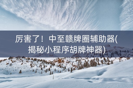 厉害了！中至赣牌圈辅助器(揭秘小程序胡牌神器)
