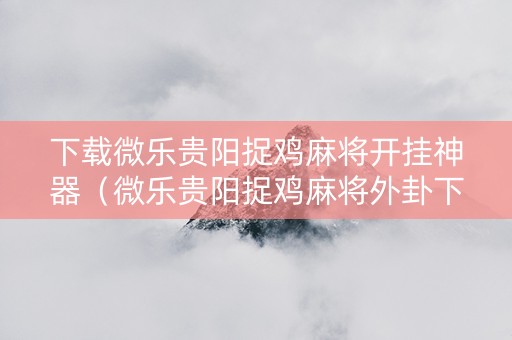 下载微乐贵阳捉鸡麻将开挂神器（微乐贵阳捉鸡麻将外卦下载）