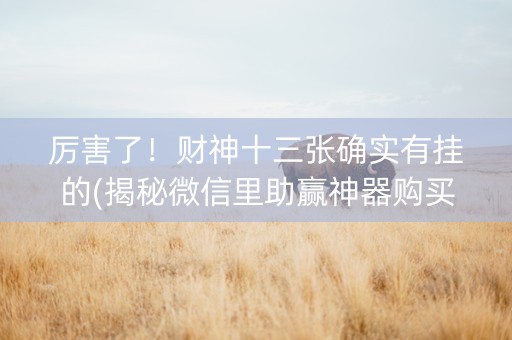 厉害了！财神十三张确实有挂的(揭秘微信里助赢神器购买)