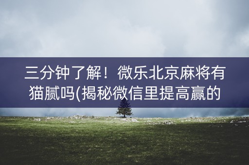 三分钟了解！微乐北京麻将有猫腻吗(揭秘微信里提高赢的概率)
