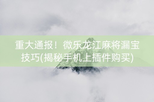 重大通报！微乐龙江麻将漏宝技巧(揭秘手机上插件购买)