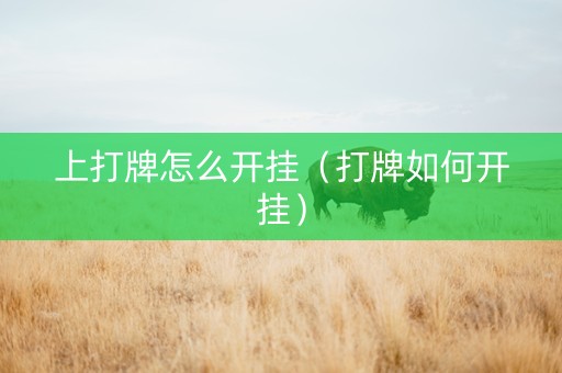 上打牌怎么开挂（打牌如何开挂）