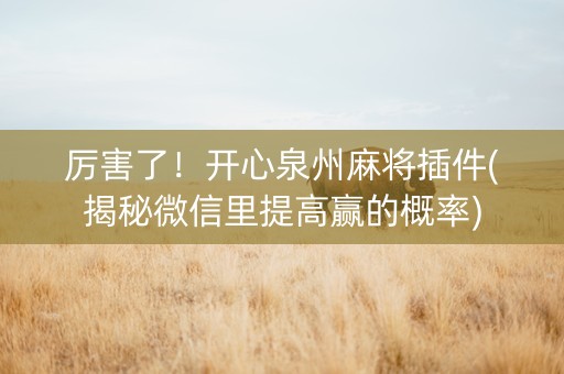 厉害了！开心泉州麻将插件(揭秘微信里提高赢的概率)