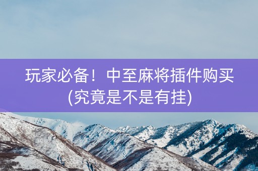 玩家必备！中至麻将插件购买(究竟是不是有挂)