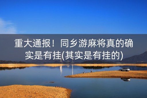 重大通报！同乡游麻将真的确实是有挂(其实是有挂的)