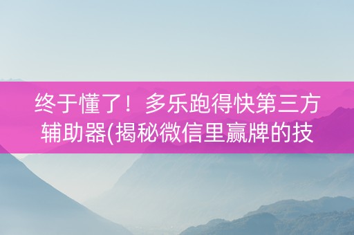 终于懂了！多乐跑得快第三方辅助器(揭秘微信里赢牌的技巧)