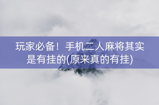 玩家必备！手机二人麻将其实是有挂的(原来真的有挂)