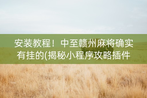 安装教程！中至赣州麻将确实有挂的(揭秘小程序攻略插件)