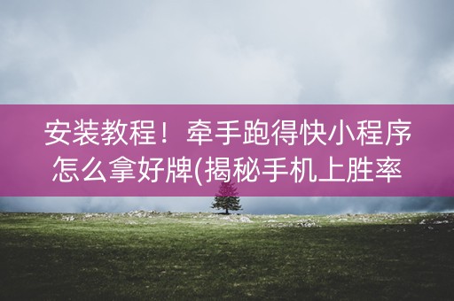 安装教程！牵手跑得快小程序怎么拿好牌(揭秘手机上胜率到哪调)