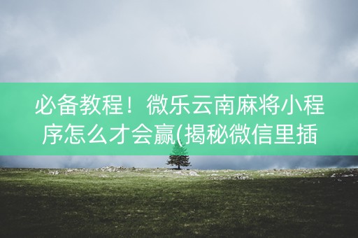 必备教程！微乐云南麻将小程序怎么才会赢(揭秘微信里插件购买)