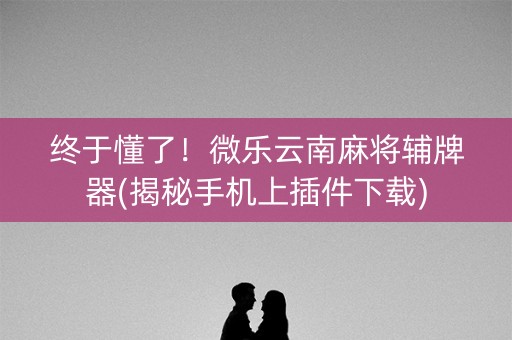 终于懂了！微乐云南麻将辅牌器(揭秘手机上插件下载)