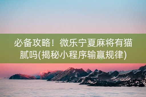 必备攻略！微乐宁夏麻将有猫腻吗(揭秘小程序输赢规律)