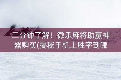 三分钟了解！微乐麻将助赢神器购买(揭秘手机上胜率到哪调)