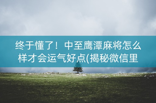 终于懂了！中至鹰潭麻将怎么样才会运气好点(揭秘微信里输赢技巧)