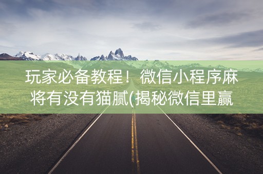 玩家必备教程！微信小程序麻将有没有猫腻(揭秘微信里赢牌的技巧)