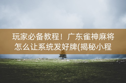 玩家必备教程！广东雀神麻将怎么让系统发好牌(揭秘小程序专用神器下载)