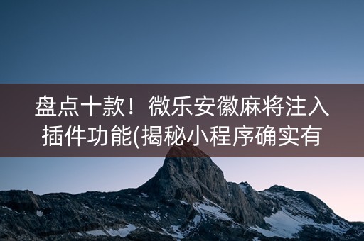 盘点十款！微乐安徽麻将注入插件功能(揭秘小程序确实有猫腻)