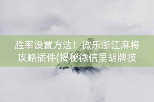 胜率设置方法！微乐浙江麻将攻略插件(揭秘微信里胡牌技巧)